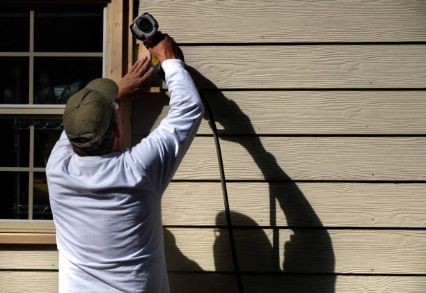 Best Custom Trim and Detailing for Siding  in River Ridge, FL