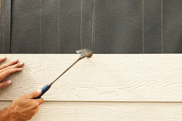 River Ridge, FL Siding Company